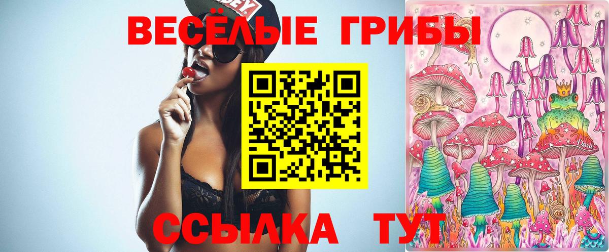 Галлюциногенные грибы Psilocybine cubensis Строитель